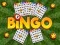 Mchezo Bingo Imefunua online