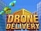 Mchezo Uwasilishaji wa Drone online