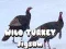 Mchezo Picha ya Wild Turkey online