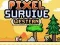Mchezo Kuishi Pixel Magharibi online