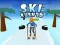 Mchezo Ski Rush 3D online