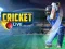 Mchezo Kricket Live online