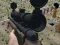 Mchezo Sniper Wa-squid Wa-taka online