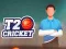 Mchezo Cricket T20 online