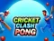 Mchezo Mgongano wa Kriketi Pong online