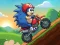 Mchezo Blue Hedgehog Ride online