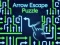 Mchezo Arrow Escape Puzzle online