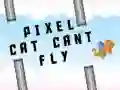 Mchezo Paka wa pixel hawezi kuruka online