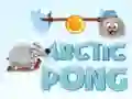Mchezo Arctic Pong online Mchezo Arctic Pong online