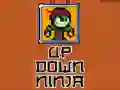 Mchezo Ninja Juu Chini online