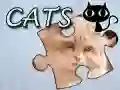 Mchezo Puzzle: Paka online