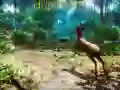 Mchezo Mv Hunter 3D online Mchezo Mv Hunter 3D online