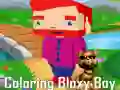 Mchezo Kupaka Bloxy Boy online Mchezo Kupaka Bloxy Boy online