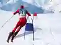 Mchezo Simu ya Ski Slalom online Mchezo Simu ya Ski Slalom online