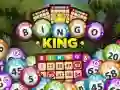 Mchezo Mfalme wa Bingo online Mchezo Mfalme wa Bingo online