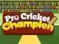 Mchezo Pro Cricket Bingwa online Mchezo Pro Cricket Bingwa online