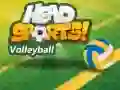 Mchezo Head Sports Mpira wa Wavu online Mchezo Head Sports Mpira wa Wavu online