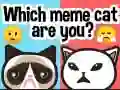 Mchezo Wewe ni paka wa meme gani? online Mchezo Wewe ni paka wa meme gani? online