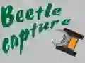 Mchezo Kuvuna beetle online Mchezo Kuvuna beetle online