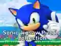 Mchezo Kukusanya za Picha za Sonic online