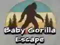 Mchezo Kukimbia kwa Baby Gorilla online Mchezo Kukimbia kwa Baby Gorilla online