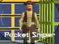 Mchezo Sniper wa Mfuko online