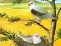 Mchezo Puzzle za Ndege Wapeleka online Mchezo Puzzle za Ndege Wapeleka online