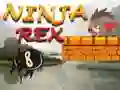 Mchezo Ninja Rex online Mchezo Ninja Rex online
