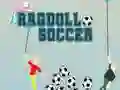 Mchezo Soka la Ragdoll online