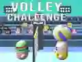 Mchezo Changamoto ya Volley online Mchezo Changamoto ya Volley online