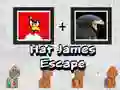 Mchezo Hat James Escape online