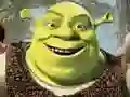 Mchezo Kukusanya za Shrek online