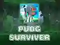 Mchezo PUBG Mshindi online Mchezo PUBG Mshindi online