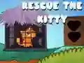 Mchezo okoa kitty online