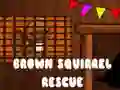 Mchezo Uokoaji Squirrel ya Brown online Mchezo Uokoaji Squirrel ya Brown online