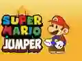 Mchezo Super Mario Ruker online Mchezo Super Mario Ruker online