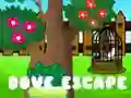 Mchezo Kukuu Kutoroka online