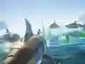 Mchezo Meli za Shark online Mchezo Meli za Shark online