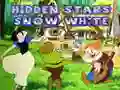 Mchezo The Snow White: Nyota zilizofichwa online Mchezo The Snow White: Nyota zilizofichwa online