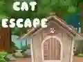 Mchezo Ponyo la Paka online Mchezo Ponyo la Paka online