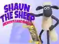 Mchezo Shaun Mbuzi: Mchezo wa Kumbukumbu online Mchezo Shaun Mbuzi: Mchezo wa Kumbukumbu online