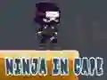 Mchezo Ninja katika Kofia online
