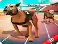 Mchezo Mbio za mbwa za kichaa online Mchezo Mbio za mbwa za kichaa online
