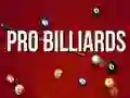 Mchezo Biliard ya Kitaalifa online