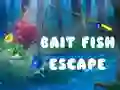 Mchezo Bait Fish Escape online Mchezo Bait Fish Escape online