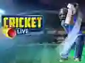 Mchezo Kricket Live online