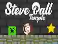 Mchezo Hekalu la Steve Ball online Mchezo Hekalu la Steve Ball online