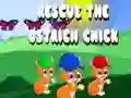 Mchezo Okota vifarini vya strau online Mchezo Okota vifarini vya strau online