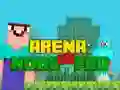 Mchezo Arena: Noob dhidi ya Pro online Mchezo Arena: Noob dhidi ya Pro online
