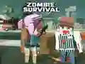 Mchezo Kuishi na Zombi online